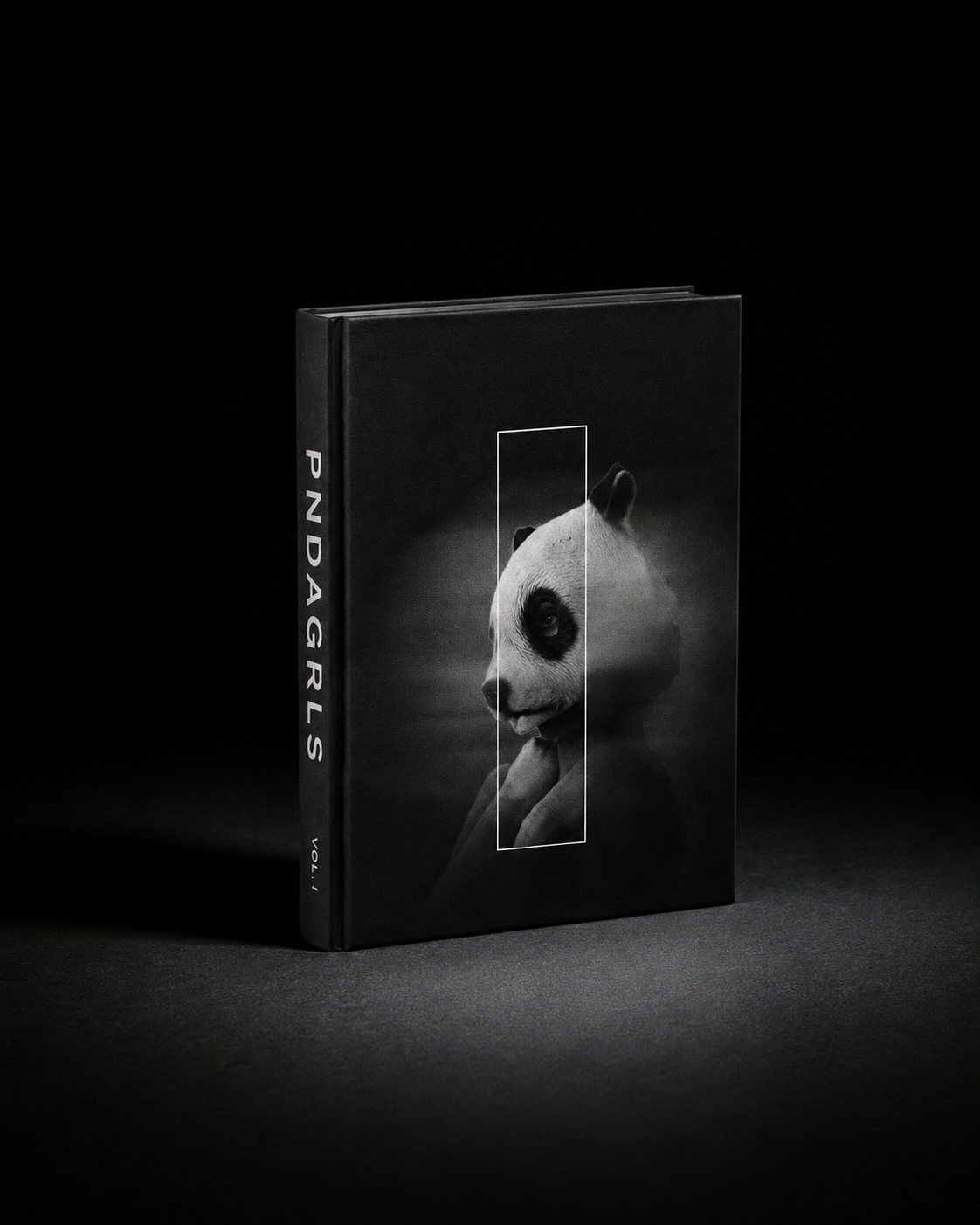 PNDAGRLS Vol. I photobook, black hardcover — CRZYPNDA